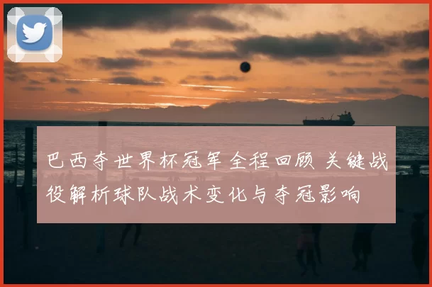 巴西夺世界杯冠军全程回顾 关键战役解析球队战术变化与夺冠影响