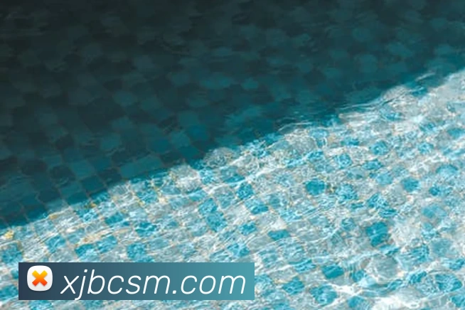 九游体育手机官网发展历程